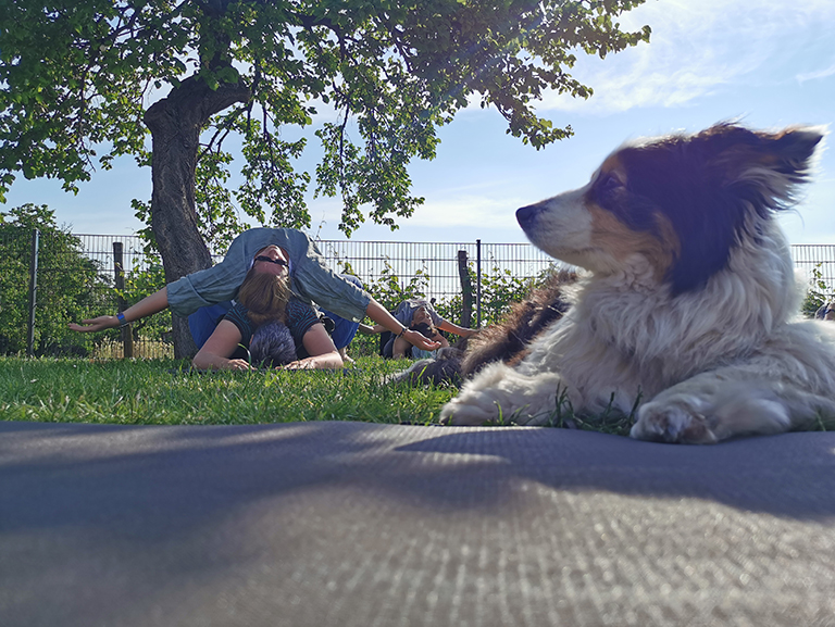 Workation 2021 - Partneryoga mit Hund